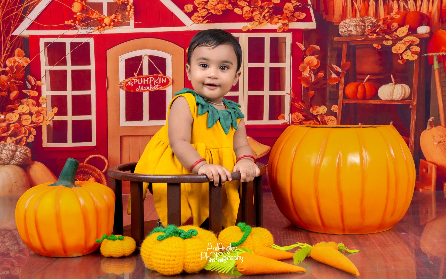 Baby photography in Karur by AnilAngles Photography (frame 12)