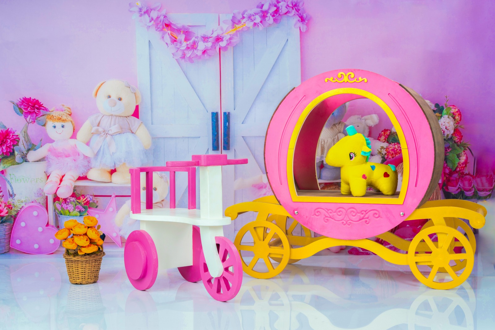 Baby Photography Theme 12