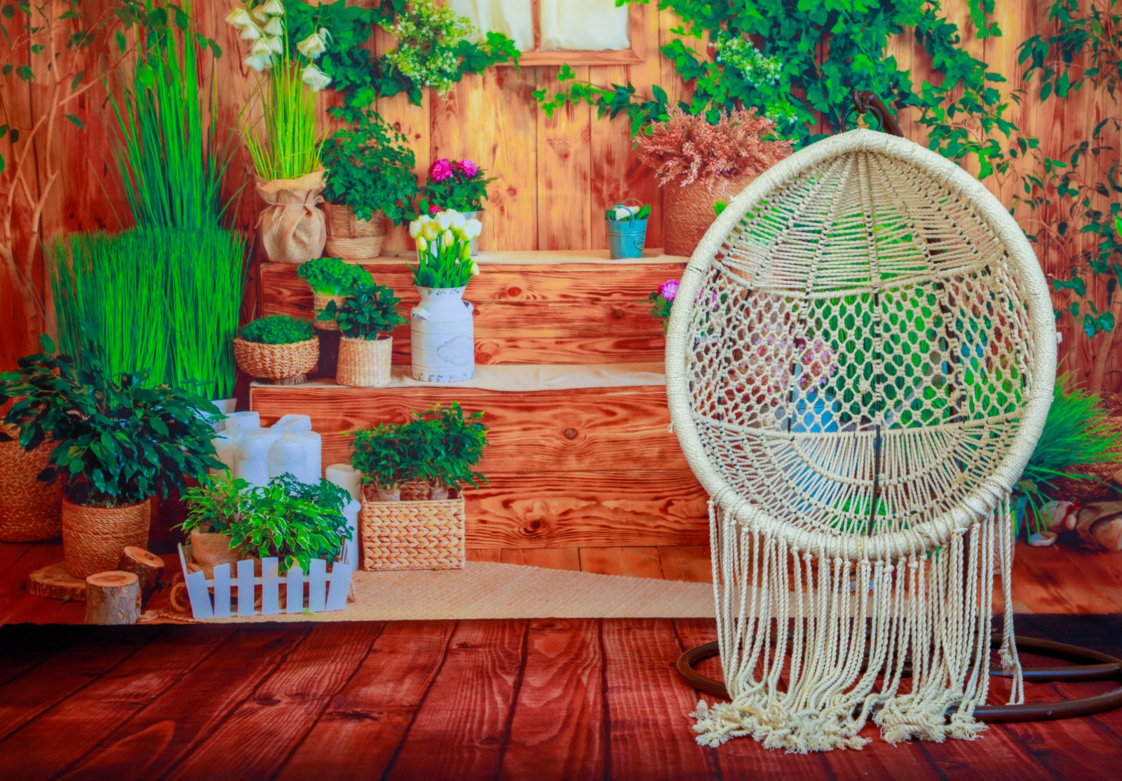 Baby Photography Theme 20