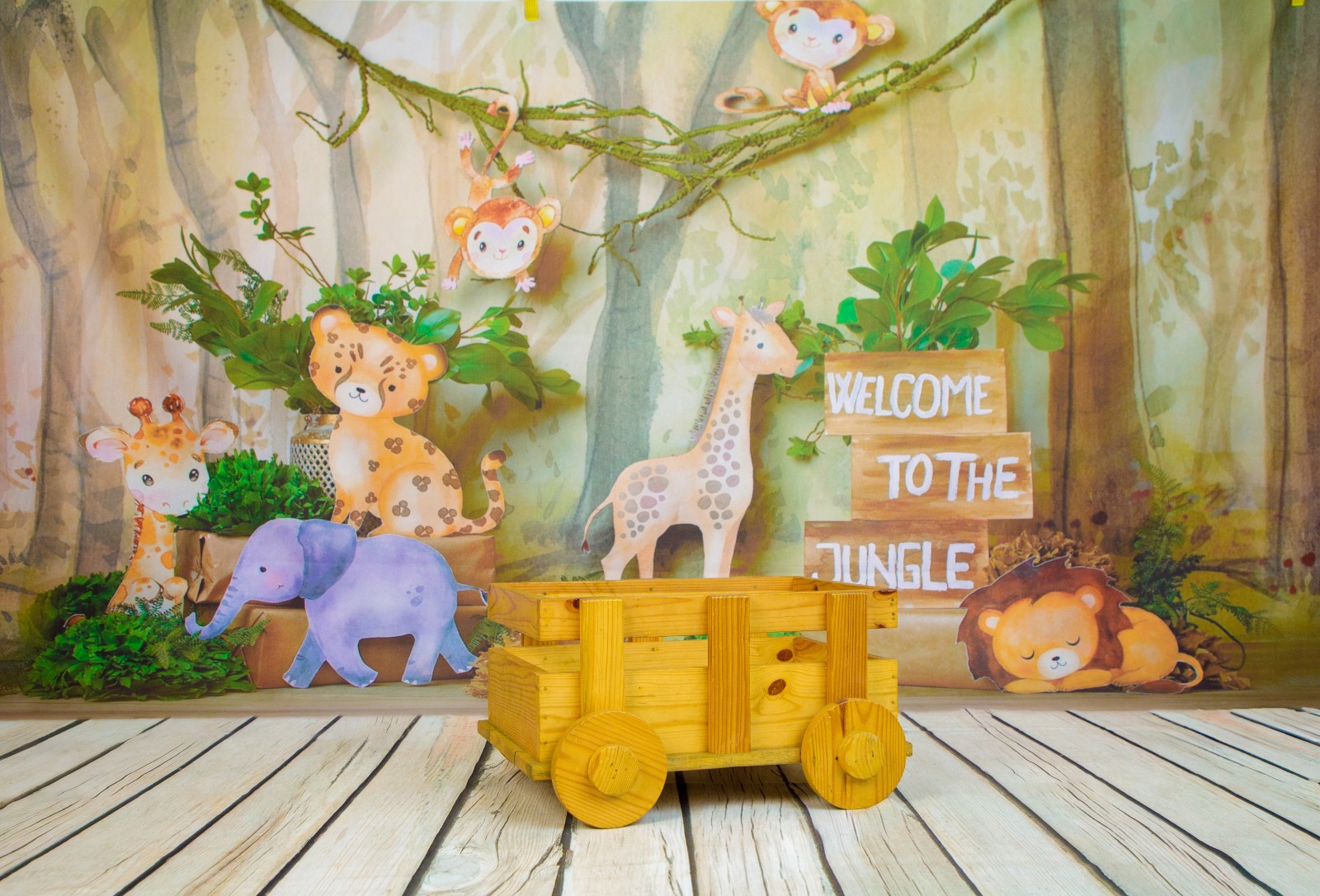 Baby Photography Theme 29